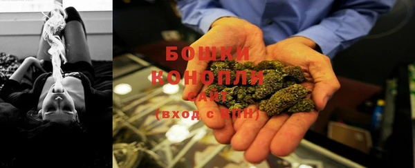 дурь Магас
