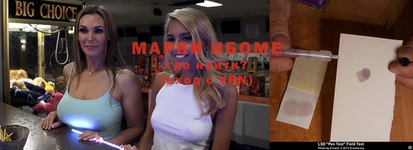 сатива Мегион