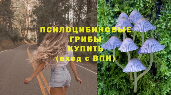 сатива Мегион