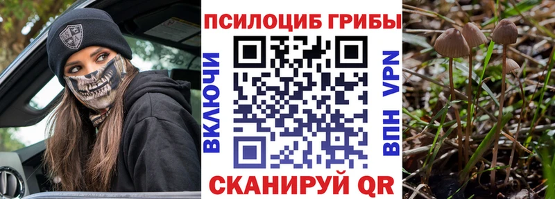 сайты даркнета состав  Павловск  Галлюциногенные грибы MAGIC MUSHROOMS 
