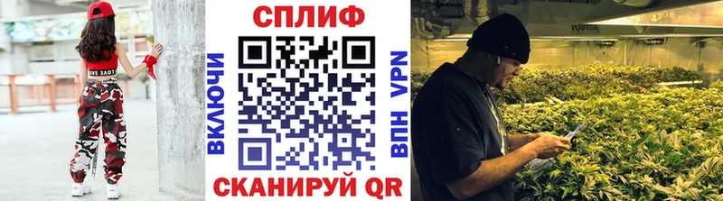Шишки марихуана VHQ  blacksprut как войти  Павловск 